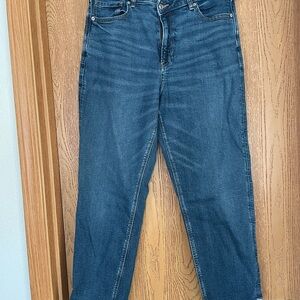 American Eagle Outfitters Blue Mom Jeans